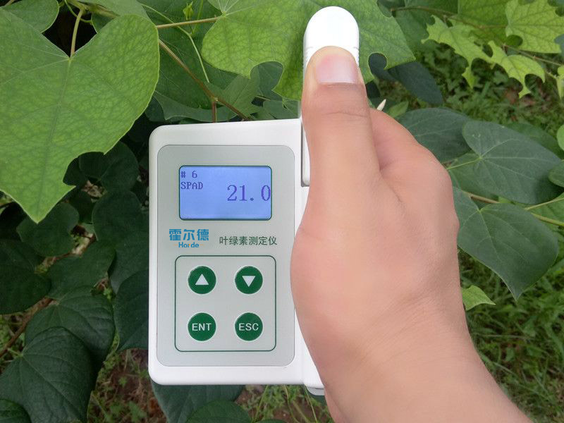 葉綠素含量測(cè)定儀具備哪些功能？