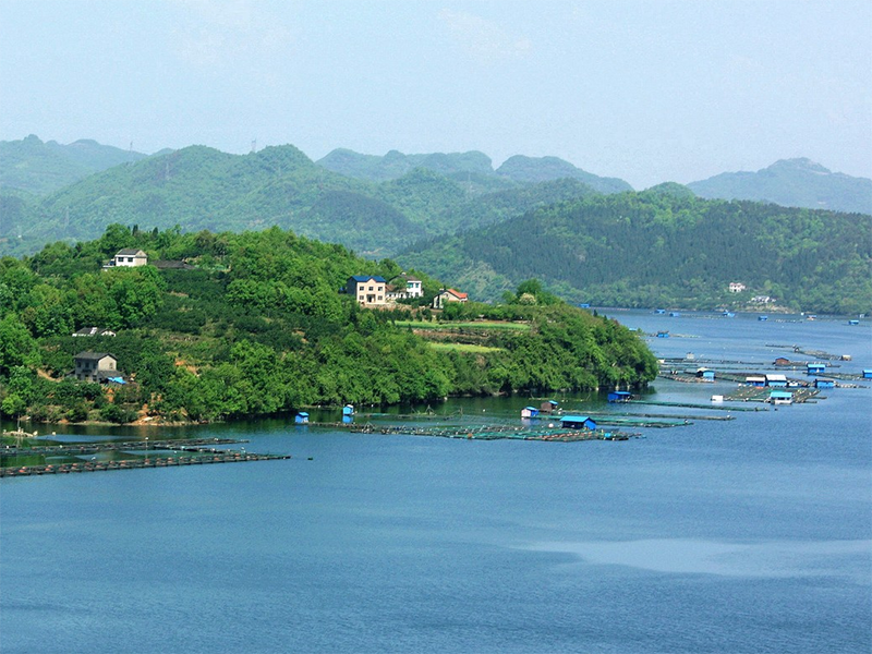 cod快速檢測(cè)儀 cod快速檢測(cè)儀