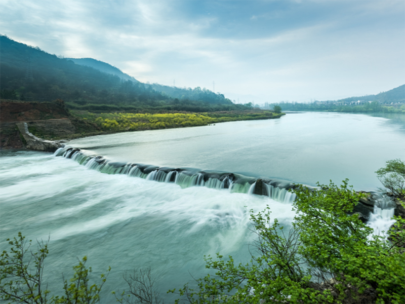 生物毒性檢測(cè)儀 生物毒性檢測(cè)儀