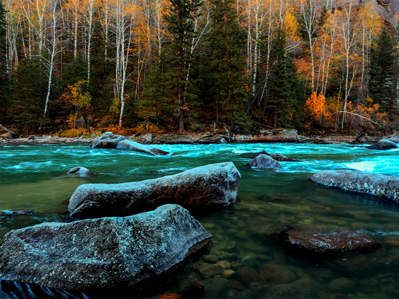 水質(zhì)總磷檢測步驟及注意事項（水質(zhì)總磷檢測的常用方法）