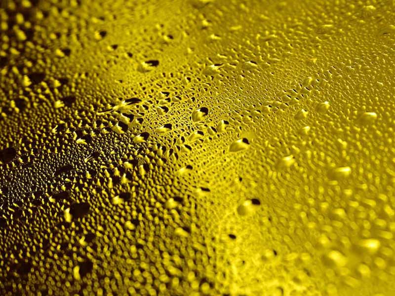 食用油酸價(jià)檢測(cè)儀功能特點(diǎn)(食用油酸價(jià)檢測(cè)儀說(shuō)明書)