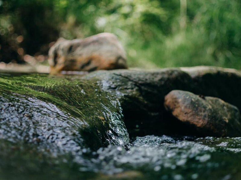 葉綠素對(duì)水質(zhì)有什么影響（不同水質(zhì)葉綠素a標(biāo)準(zhǔn)限值）