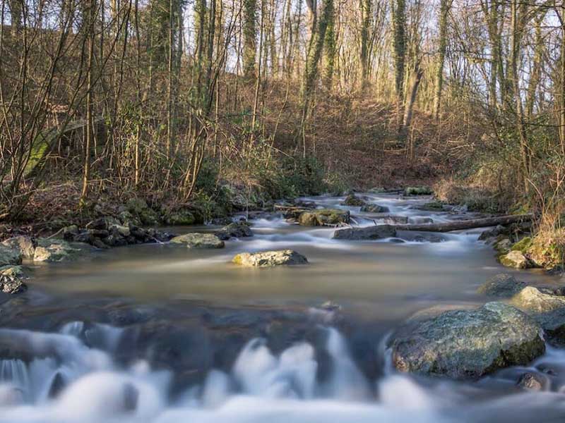 【案例】廣州某企業(yè)人為干擾污水監(jiān)測設(shè)施致數(shù)據(jù)失真，管理員獲刑