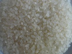 大米重金屬鎘檢測(cè)儀，可對(duì)樣品進(jìn)行快速檢測(cè)